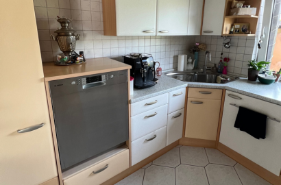 küchenfolierung_vorher